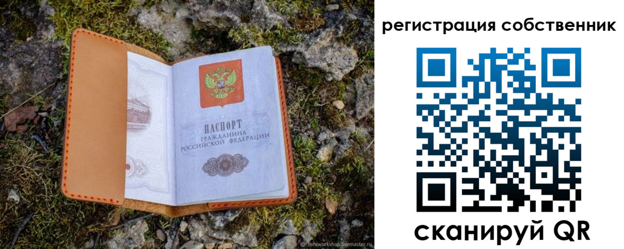 прописка поиск в Московской области